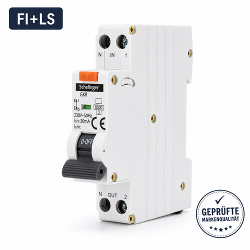 FI/LS